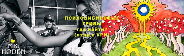 Альфа ПВП Бородино